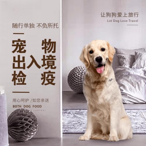 贵阳宠物托运到哥伦比亚猫狗宠物入境规定和