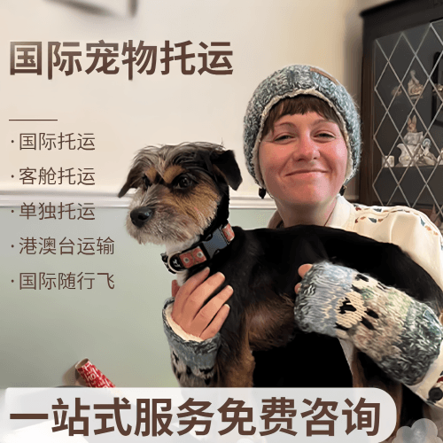 贵阳国际宠物托运到阿根廷宠物入境规定和要