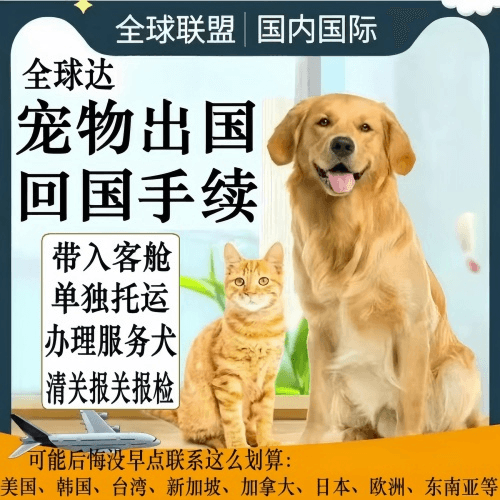 贵阳宠物托运到柬埔寨宠物入境规定和要求