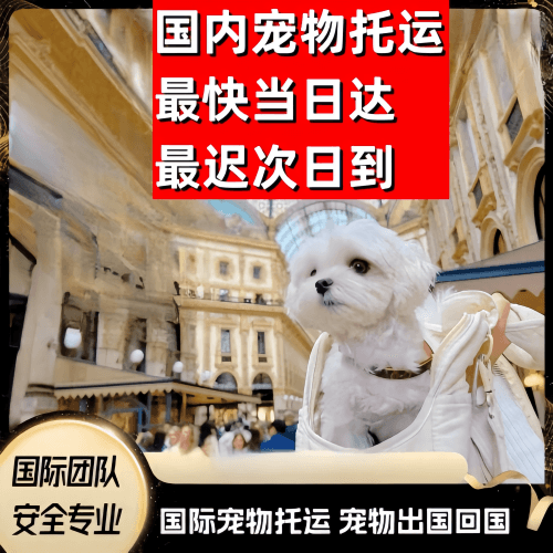 贵阳到澳大利亚（澳洲）宠物入境规定和要求