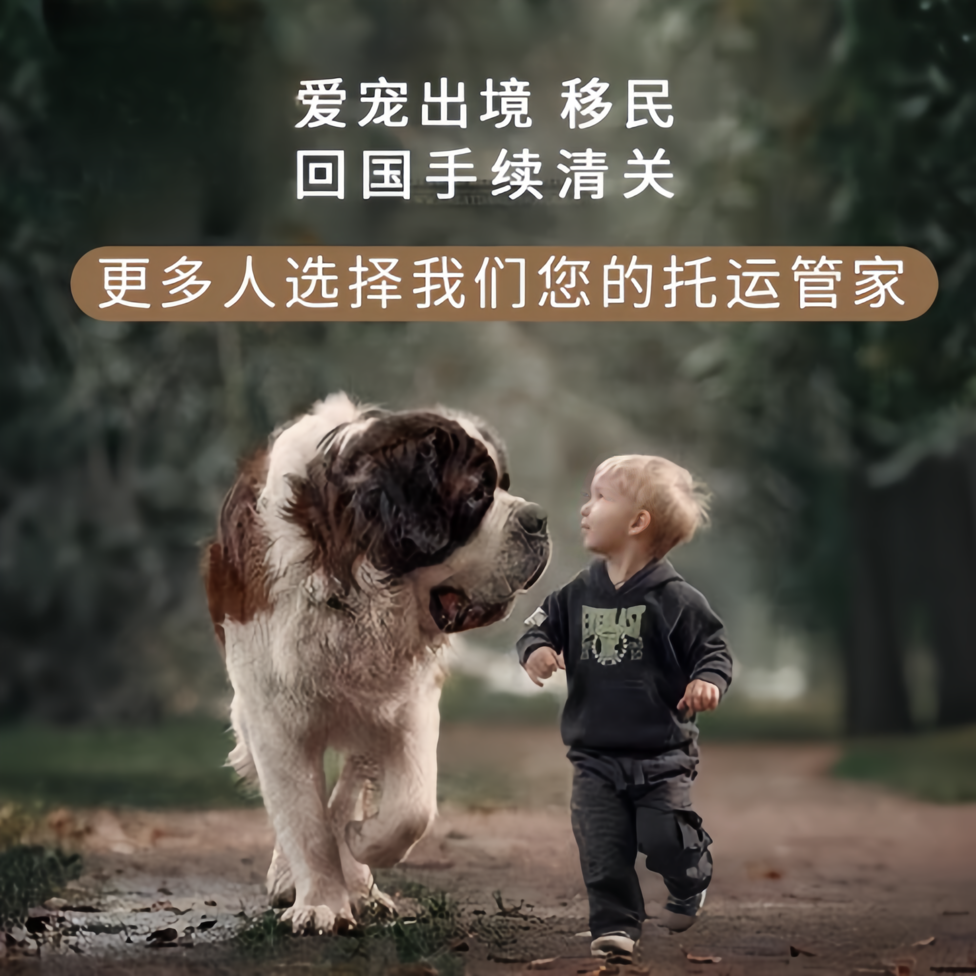 满财贵阳宠物全球达宠物托运在遵守入境目的地政策的条件
