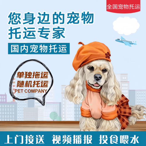满财贵阳宠物全球达宠物托运作为专业的宠物运输代理机构